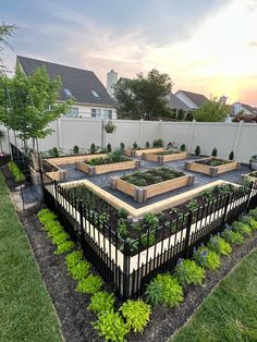 an outdoor garden with raised beds and plants in the center, surrounded by fenced area