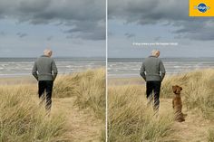 a man standing on top of a grass covered field next to a dog in front of the ocean