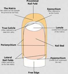 Nail Care Diy, Emerald Nails, Diy Pedicure, Cuticle Care, Nail Care Tips, Nail Care Routine