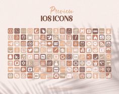 an image of a bunch of different icons on a white background with palm leaves in the foreground