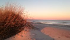 the sun is setting at the beach with tall grass