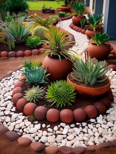 several potted plants and rocks in a garden