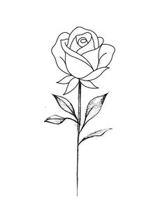 a drawing of a single rose on a white background