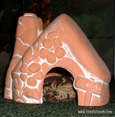 a frog hiding in a clay house shaped like a house with flowers on it's roof