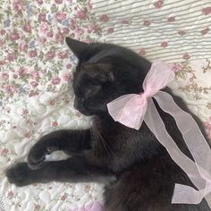 a black cat laying on top of a bed with a pink bow around its neck