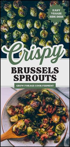 the cover of crispy brussel sprouts cookbook