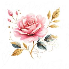 a pink rose with green leaves and gold accents on a white background is featured in this watercolor painting