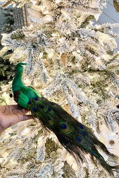 a person holding a peacock in front of a christmas tree