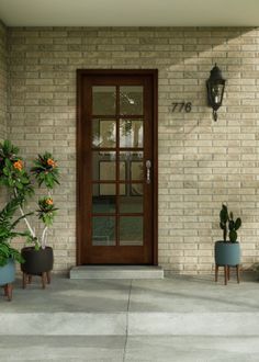 two potted plants sit on either side of the front door to a brick building