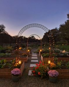 a garden filled with lots of plants and lights