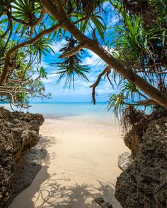 a sandy beach surrounded by trees and water