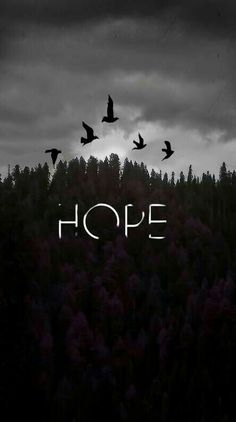 black and white photograph of birds flying over trees with the word hope written on it