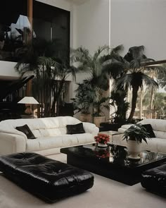 a living room filled with furniture and lots of palm trees