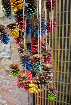 a poster with pine cones hanging from it's sides and the words wild nature