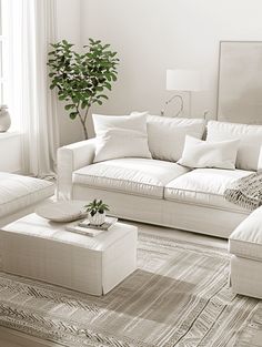 black and white photograph of a living room with couches, coffee table, rugs and potted plant