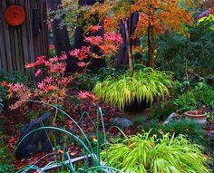 the garden is full of colorful plants and trees