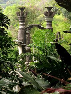 an outdoor area with lots of plants and tall pillars in the middle of it, surrounded by greenery