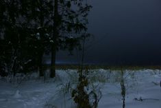 a person standing in the snow next to some trees and bushes under a dark sky