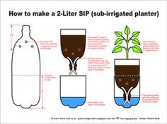 how to make a 2 literr sub - ririgated planter with water