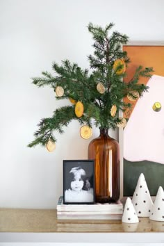 a vase filled with pine branches next to two small white cones and a framed photograph