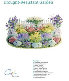 an illustrated garden plan with flowers and plants in the center, along with words on each side