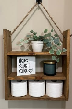 a shelf with some toilet paper and a potted plant