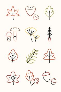 an image of different types of leaves