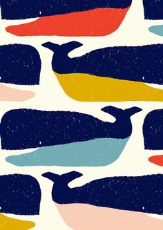 an image of whales in different colors