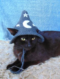 a black cat wearing a knitted hat with stars and moon on it