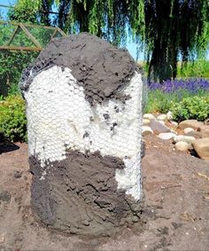 there is a rock that has been made to look like a man's face