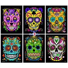 four different colored sugar skulls on black background