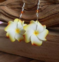 two white and yellow flowers are hanging from silver earwires on a piece of wood