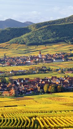 an aerial view of a small town surrounded by fields and hills in the distance, with mountains in the background