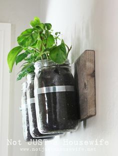 a potted plant sitting on top of a wall