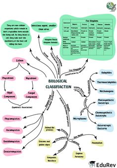 a mind map with different types of information