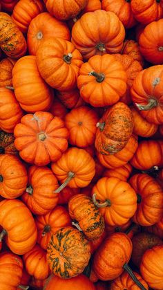 many orange pumpkins are piled up together