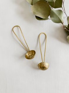 two brass spoons are sitting next to some green leaves on a white surface with a plant in the background