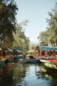 several boats are docked in the water near some trees and people standing on top of them