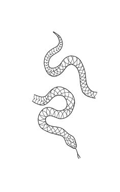 a black and white drawing of a snake