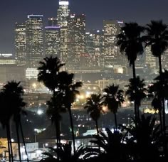 the city skyline is lit up at night, with palm trees in front of it