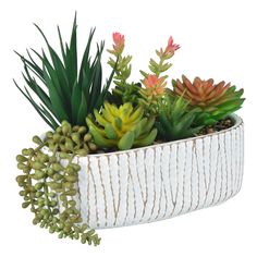 an arrangement of succulents and plants in a white planter on a white background