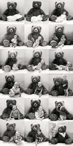 black and white images of teddy bears in different poses