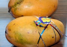 two mangoes sitting next to each other on top of a wooden table with wires attached to them