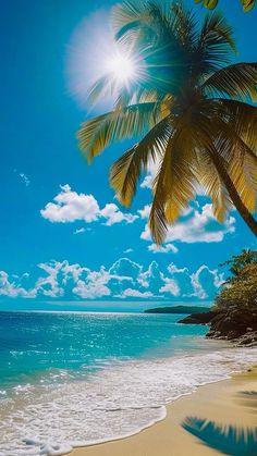 the sun shines brightly on a tropical beach with palm trees in the foreground