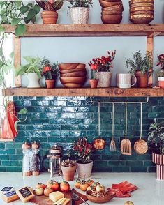 the kitchen counter is covered with potted plants