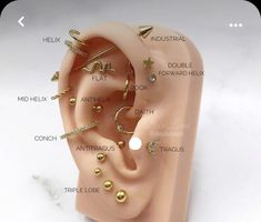 an ear with different types of piercings on it