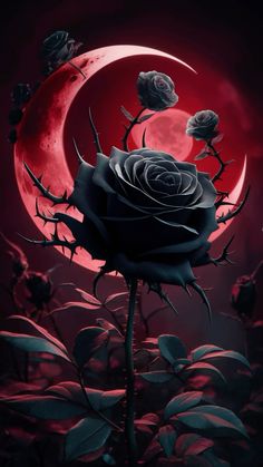 a black rose sitting in front of a red moon