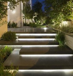 some steps lit up with lights and plants