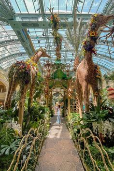 two giraffes that are standing in the middle of a walkway inside a building