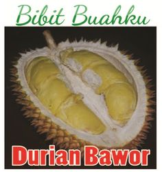 an advertisement for durian bavor fruit